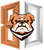 BigDog