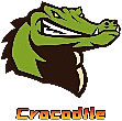 Crocodile
