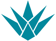 AKV