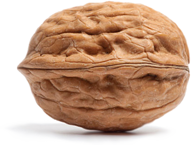 NUT