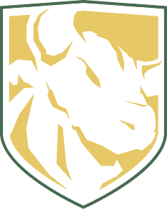 DNY