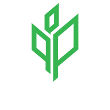 SPT