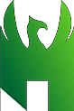 HSG