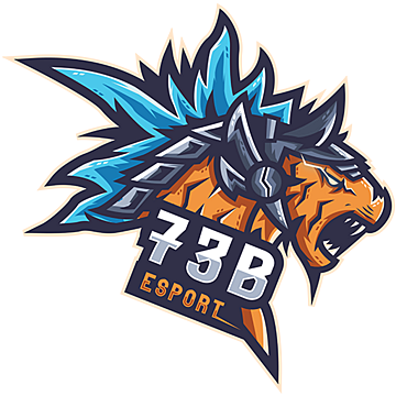 73B
