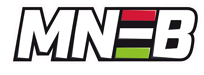 Magyar Nemzeti E-sport Bajnoksag Season 1