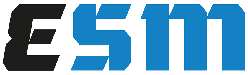 eSM 2020