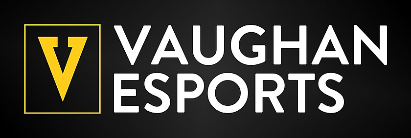 Vaughan Esports November 2020 VALORANT Monthly