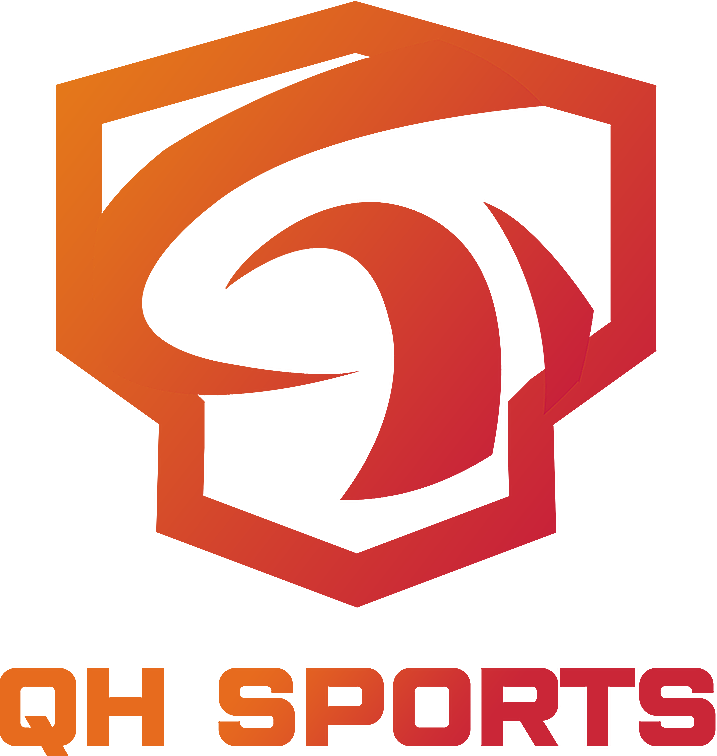 QH Sports Dota Series 4